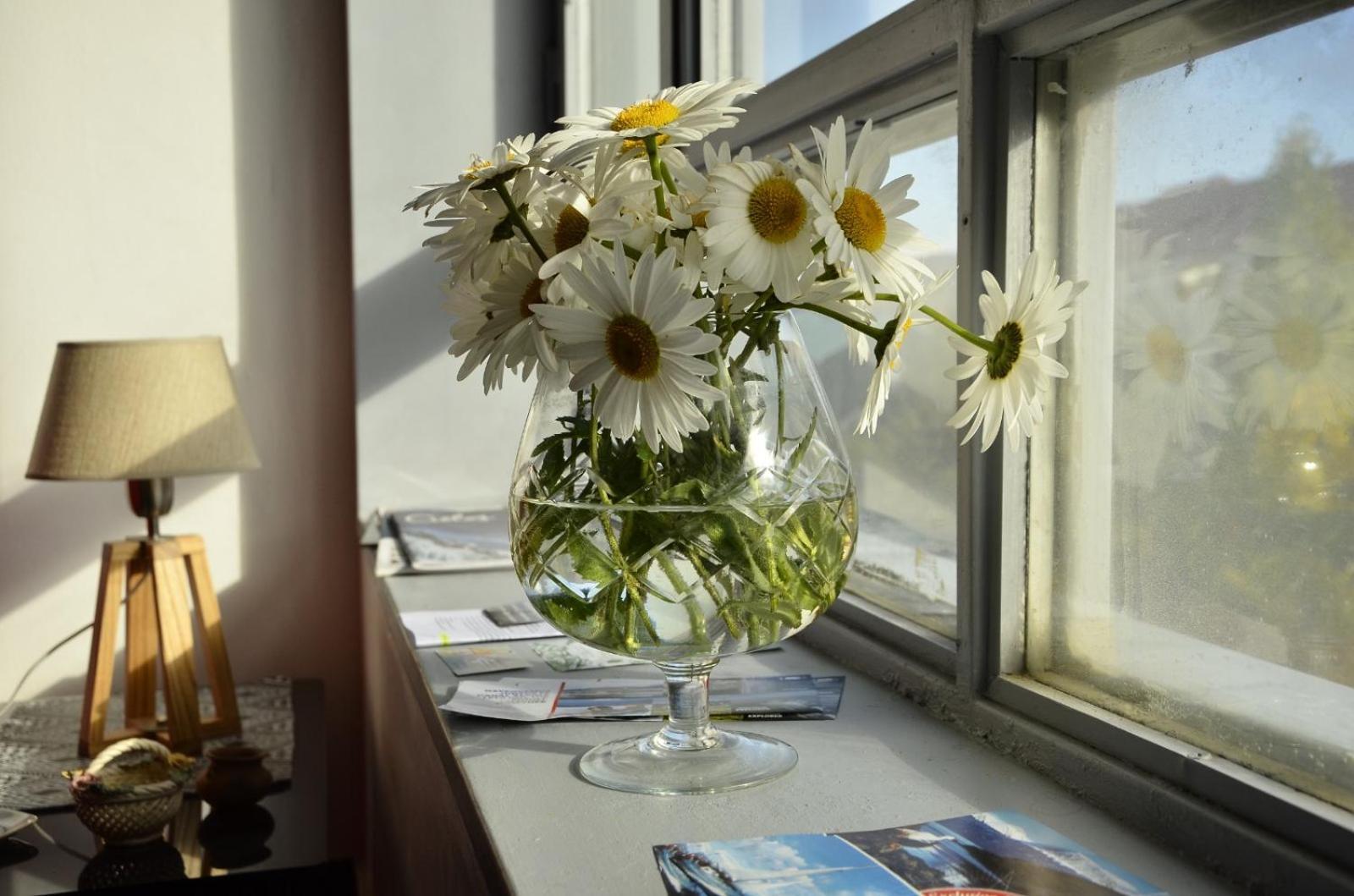 Horizonte Ushuaia Apartment Екстериор снимка